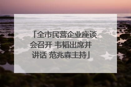 全市民营企业座谈会召开 韦韬出席并讲话 范兆森主持
