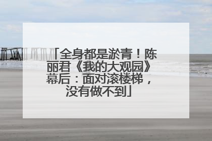 全身都是淤青！陈丽君《我的大观园》幕后：面对滚楼梯，没有做不到