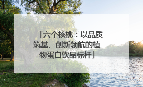六个核桃：以品质筑基、创新领航的植物蛋白饮品标杆