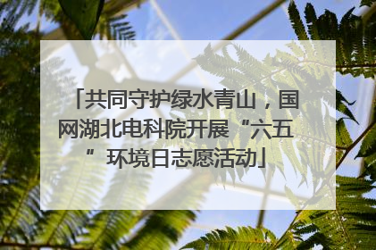 共同守护绿水青山，国网湖北电科院开展“六五”环境日志愿活动