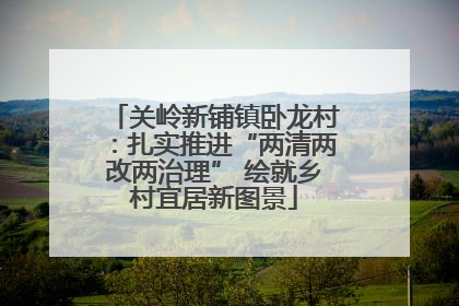 关岭新铺镇卧龙村：扎实推进“两清两改两治理” 绘就乡村宜居新图景