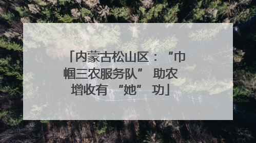 内蒙古松山区：“巾帼三农服务队” 助农增收有 “她” 功