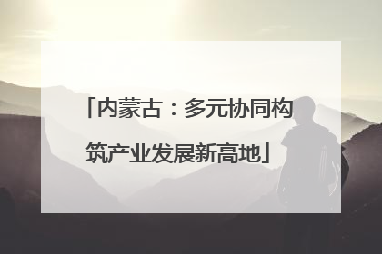 内蒙古：多元协同构筑产业发展新高地