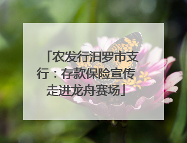 农发行汨罗市支行：存款保险宣传走进龙舟赛场