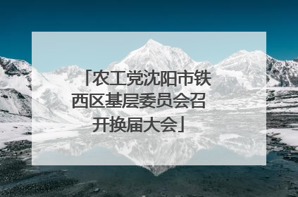 农工党沈阳市铁西区基层委员会召开换届大会