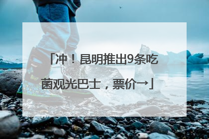 冲！昆明推出9条吃菌观光巴士，票价→