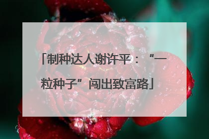 制种达人谢许平：“一粒种子”闯出致富路