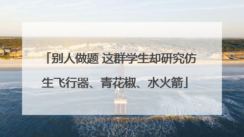 别人做题 这群学生却研究仿生飞行器、青花椒、水火箭
