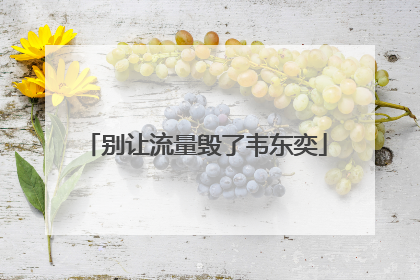 别让流量毁了韦东奕