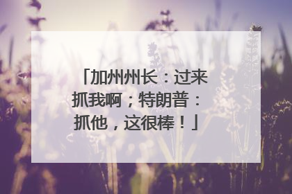 加州州长：过来抓我啊；特朗普：抓他，这很棒！