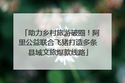 助力乡村旅游破圈！阿里公益联合飞猪打造多条县域文旅爆款线路