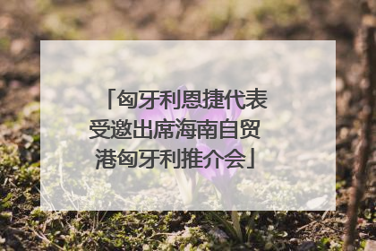匈牙利恩捷代表受邀出席海南自贸港匈牙利推介会