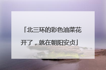 北三环的彩色油菜花开了，就在朝阳安贞