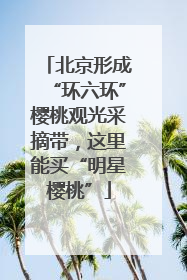 北京形成“环六环”樱桃观光采摘带，这里能买“明星樱桃”