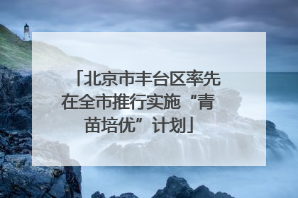 北京市丰台区率先在全市推行实施“青苗培优”计划