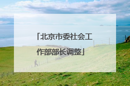 北京市委社会工作部部长调整