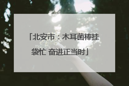 北安市：木耳菌棒挂袋忙 奋进正当时