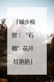 城步检察：“石榴”花开红艳艳
