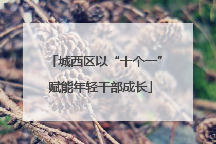 城西区以“十个一”赋能年轻干部成长