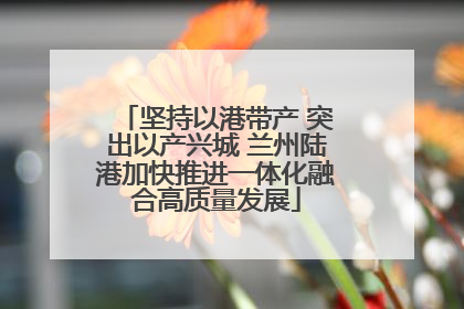 坚持以港带产 突出以产兴城 兰州陆港加快推进一体化融合高质量发展