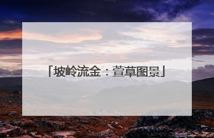 坡岭流金：萱草图景