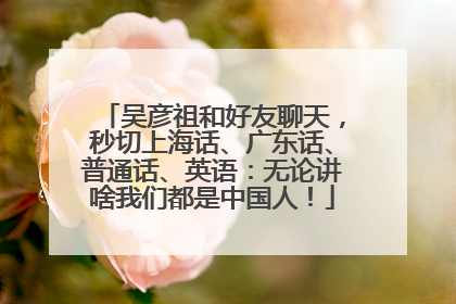 吴彦祖和好友聊天，秒切上海话、广东话、普通话、英语：无论讲啥我们都是中国人！