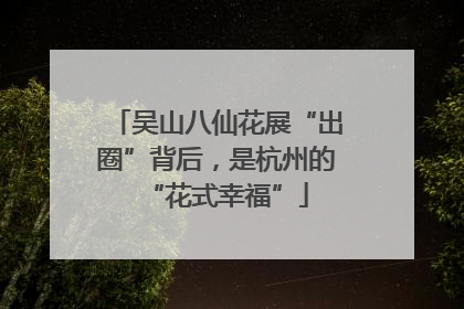 吴山八仙花展“出圈”背后，是杭州的“花式幸福”