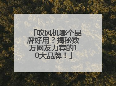 吹风机哪个品牌好用？揭秘数万网友力荐的10大品牌！