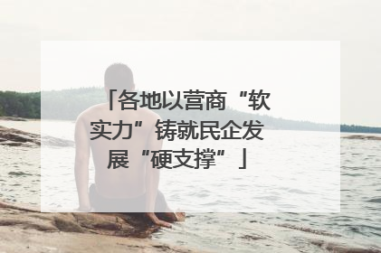 各地以营商“软实力”铸就民企发展“硬支撑”