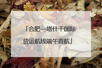 合肥—塔什干国际货运航线端午首航