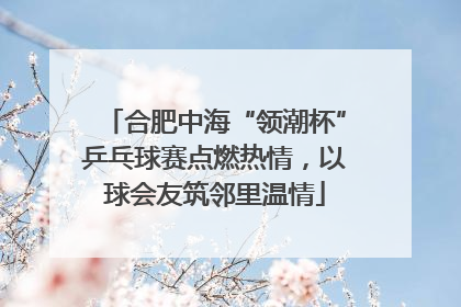 合肥中海“领潮杯”乒乓球赛点燃热情,以球会友筑邻里温情