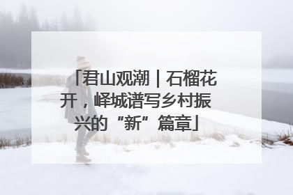 君山观潮｜石榴花开，峄城谱写乡村振兴的“新”篇章