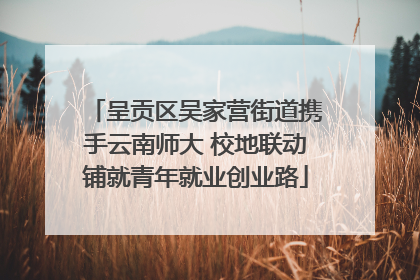 呈贡区吴家营街道携手云南师大 校地联动铺就青年就业创业路
