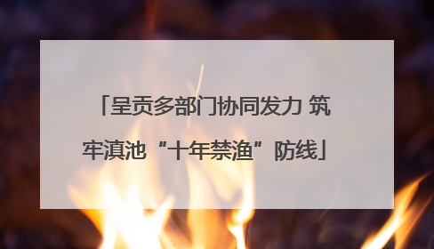 呈贡多部门协同发力 筑牢滇池“十年禁渔”防线