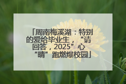 周南梅溪湖：特别的爱给毕业生，“请回答，2025”心“晴”跑燃爆校园