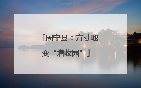 周宁县：方寸地变“增收园”