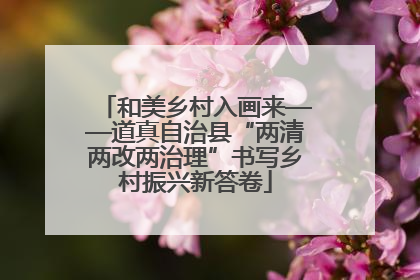 和美乡村入画来——道真自治县“两清两改两治理”书写乡村振兴新答卷