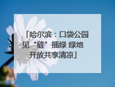哈尔滨：口袋公园见“缝”插绿 绿地开放共享清凉