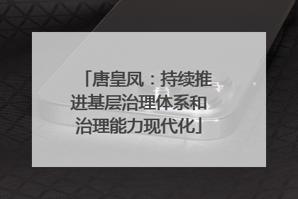 唐皇凤：持续推进基层治理体系和治理能力现代化