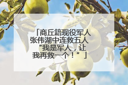 商丘籍现役军人张伟湖中连救五人 “我是军人，让我再救一个！”