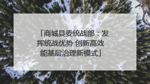 商城县委统战部：发挥统战优势 创新高效能基层治理新模式