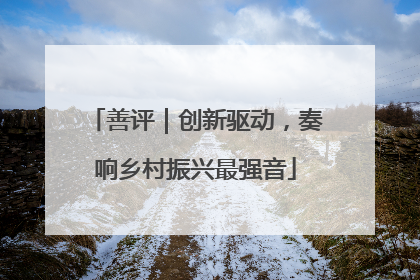善评｜创新驱动，奏响乡村振兴最强音