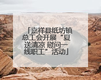 嘉祥县纸坊镇总工会开展“夏送清凉 慰问一线职工”活动