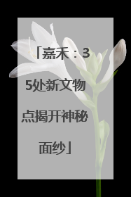 嘉禾：35处新文物点揭开神秘面纱