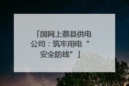 国网上蔡县供电公司：筑牢用电“安全防线”
