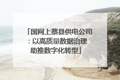 国网上蔡县供电公司：以高质量数据治理 助推数字化转型