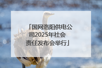 国网洛阳供电公司2025年社会责任发布会举行
