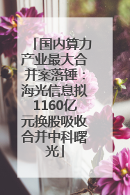 国内算力产业最大合并案落锤：海光信息拟1160亿元换股吸收合并中科曙光