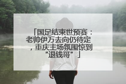 国足结束世预赛：老帅伊万去向仍待定，重庆主场氛围惊到“退钱哥”