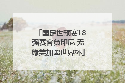 国足世预赛18强赛客负印尼 无缘美加墨世界杯